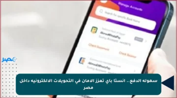 سهولة الدفع.. انستا باي تعزز الأمان في التحويلات الإلكترونية داخل مصر